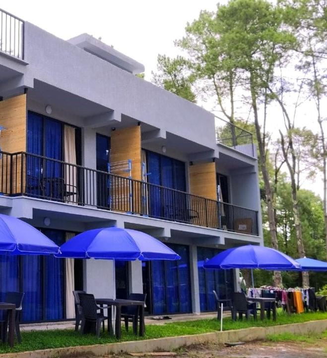 Hotel Umbrella - B&B Shek’vetili