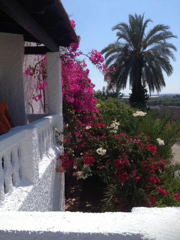 Cortijo de Mariangela UNO - B&B Cope