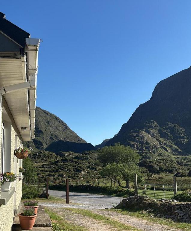 Purple Mountain Cottage - B&B Killarney