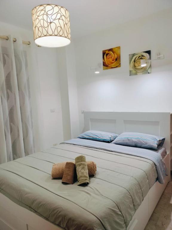 Madonnina House in pieno centro - B&B Lamezia Terme