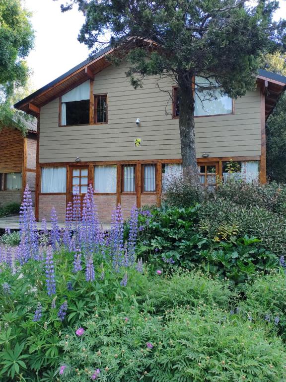 Bosque Sur - B&B Bariloche