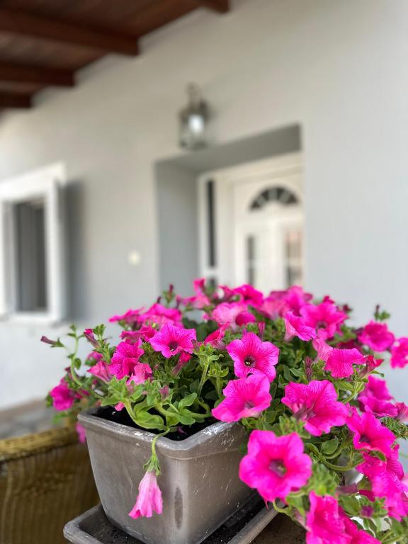 Cozy village apartment - B&B Agios Andreas