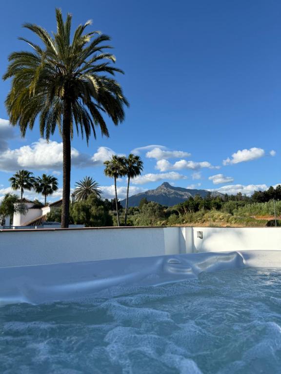 Puerto Banus Jacuzzi close to Breath and Marbella Arena - B&B Marbella
