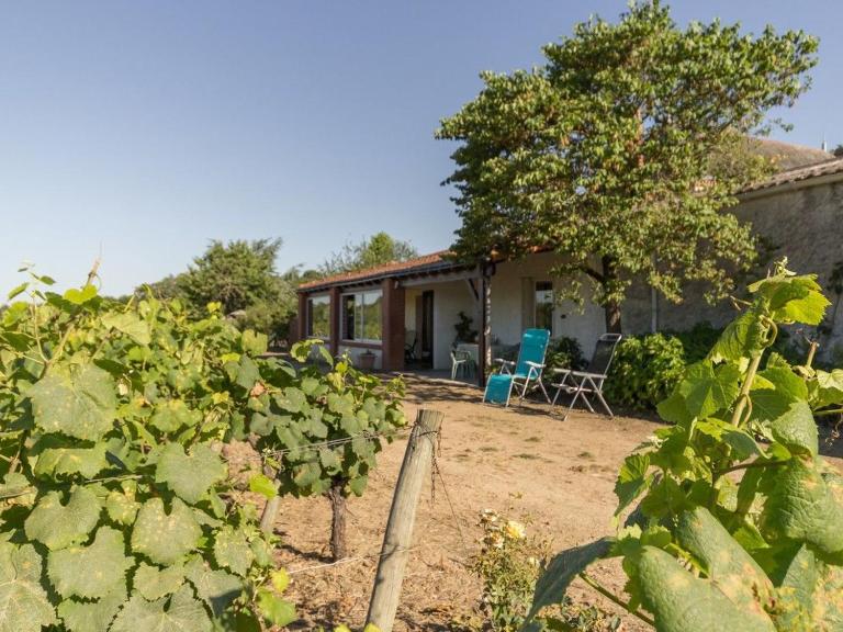 Gîte calme sur domaine viticole, cheminée, wifi, équipements bébé, proche Nantes - FR-1-306-794 - B&B Le Landreau