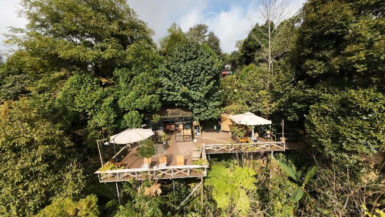 Sapa Jungle Homestay - B&B Sa Pa