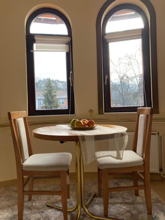 Studio Carobna Dunja - Bed and Breakfast Banja Koviljača