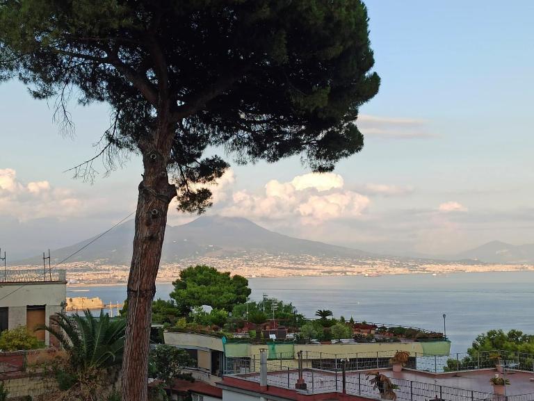 MONOCAMERA con TERRAZZOgiardino -STUDETTE -zona Panoramica POSILLIPO - B&B Naples