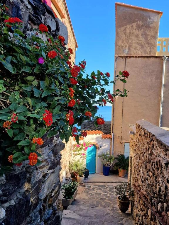 T2 chaleureux classé 4 étoiles, quartier typique au calme, plages et centre à 5 minutes, parking privé - Chambres d'hôtes Collioure