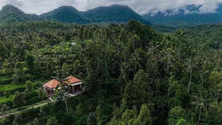 The Sekumpul Villa - B&B Sudaji
