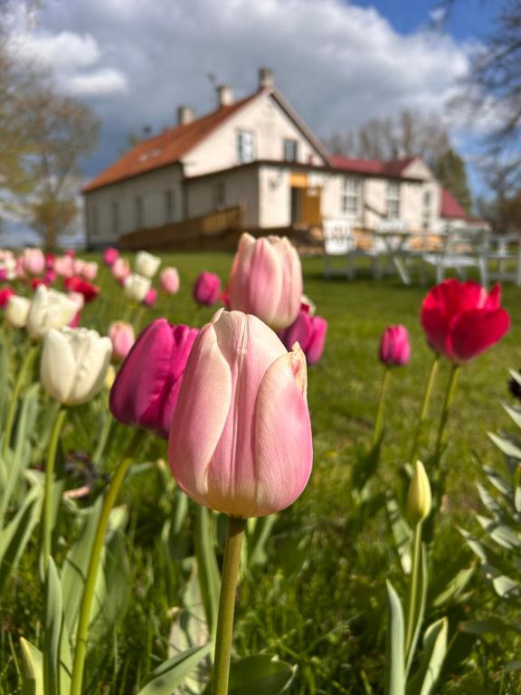 Fredriksborg - B&B Gantofta