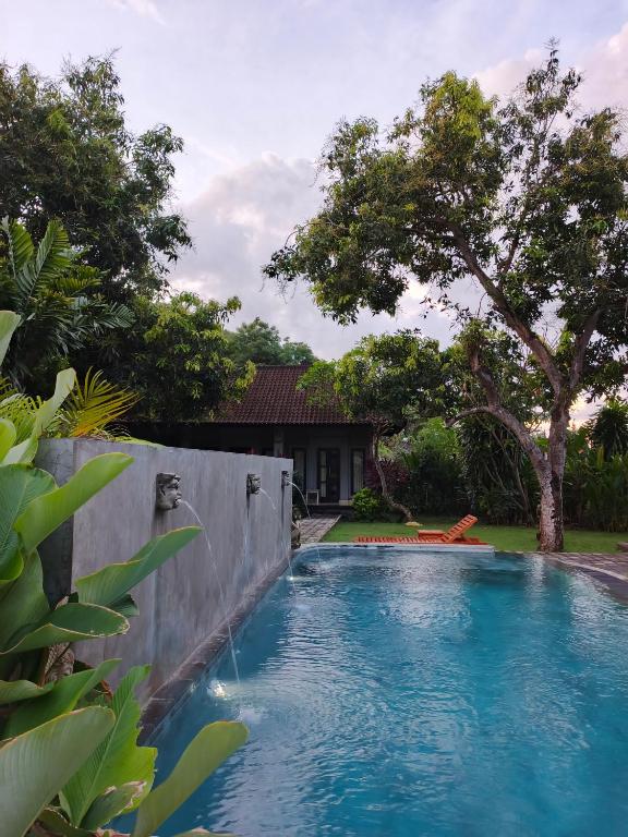 Bali Gecko Homestay - B&B Pemuteran