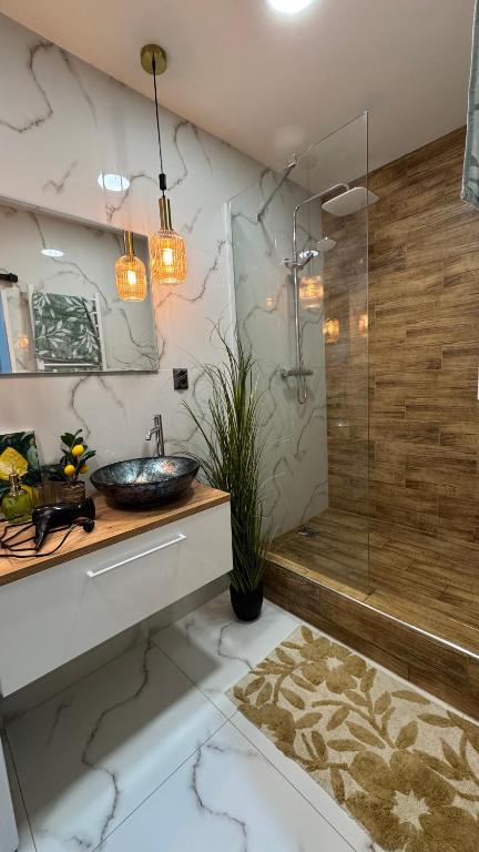 Iron apartmán - Ferienwohnung Karlsbad