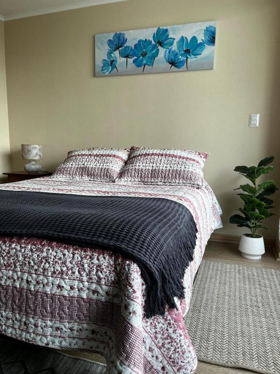 Departamento Mono Ambiente - B&B Osorno
