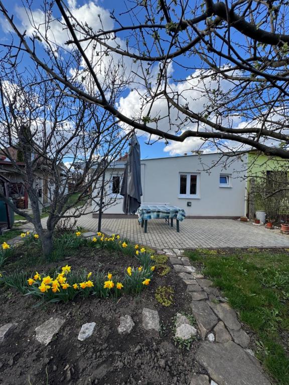 Apartmán u Babeny - Ferienwohnung Poprad