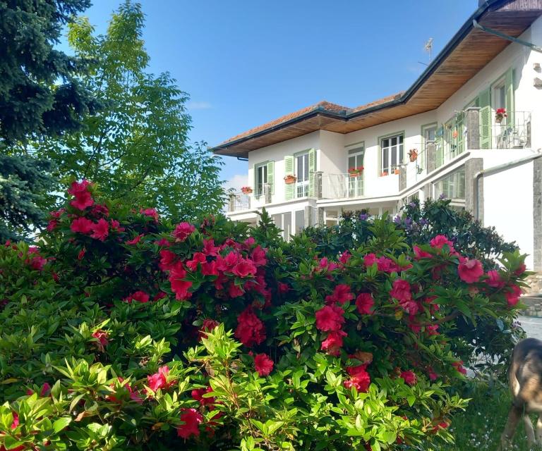 Residenza il Rododendro - B&B Candelo