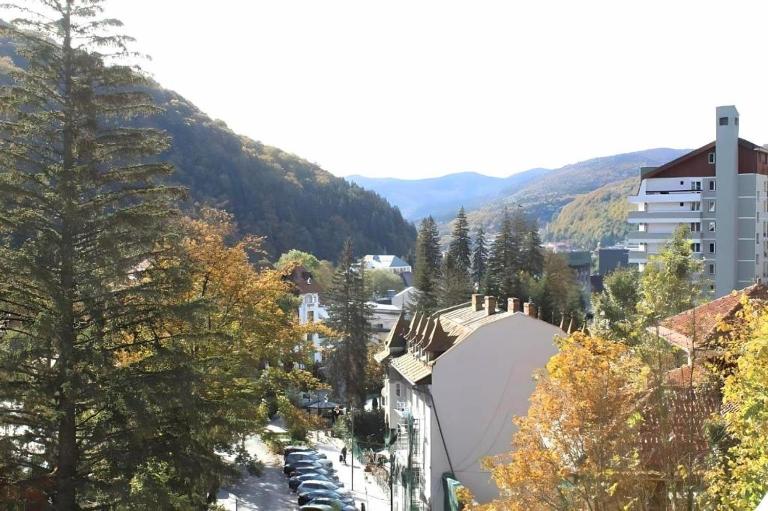 Central Park View Sinaia - B&B Sinaia