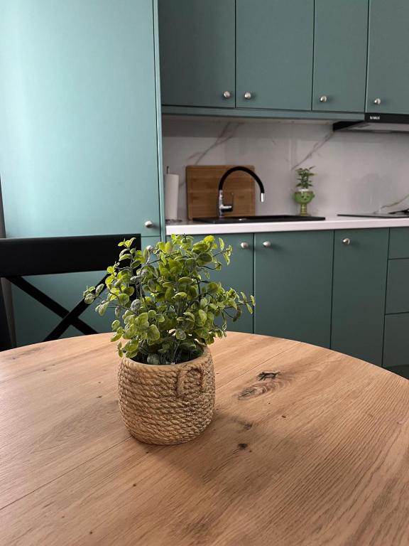 Sfara Residence Studio2 - B&B Baia Mare