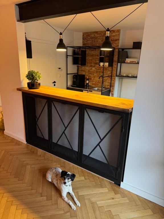 Apartamenty Studio - B&B Jastrzębia Góra