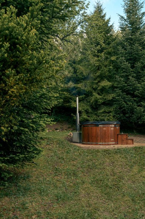 Artist's House - B&B Falsztyn