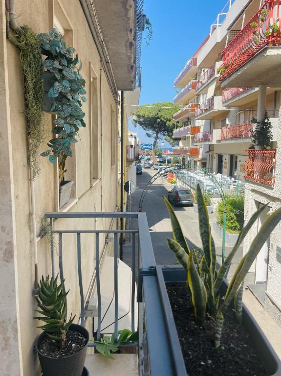 SoverHouse affittacamere a Soverato Marina - Chambres d'hôtes Soverato Marina
