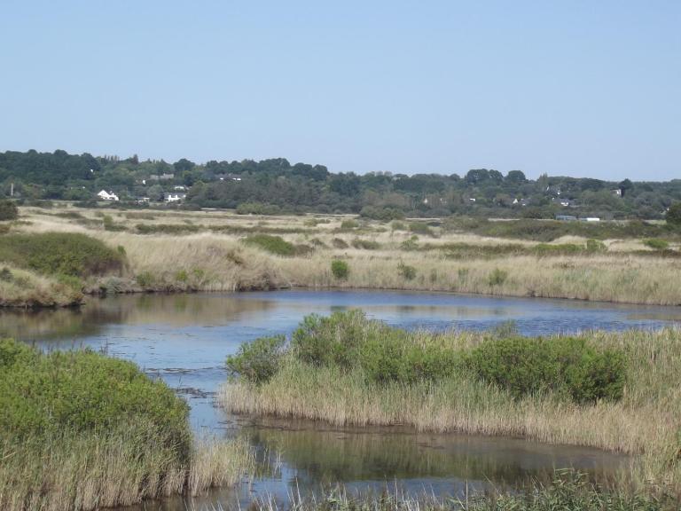 A coté des plages et des marais salants de Guérande - B&B Guérande