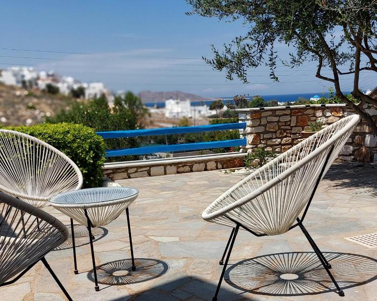 Cycladic Elegant Apartment - B&B Naoussa