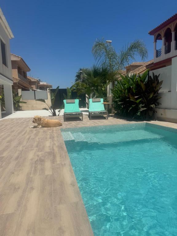 Tropical Garden Home - Cozy Ground Floor Stay - Chambres d'hôtes San Pedro del Pinatar