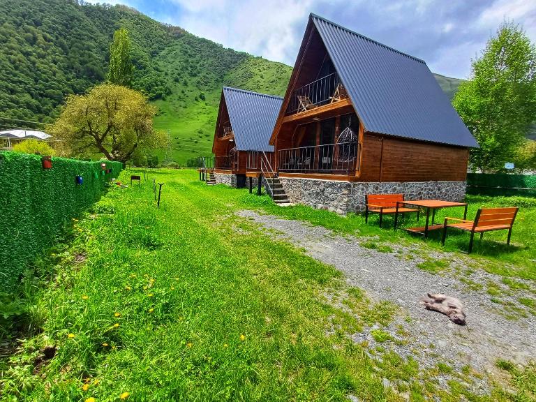 Panorama cottages Kazbegi - B&B Sno