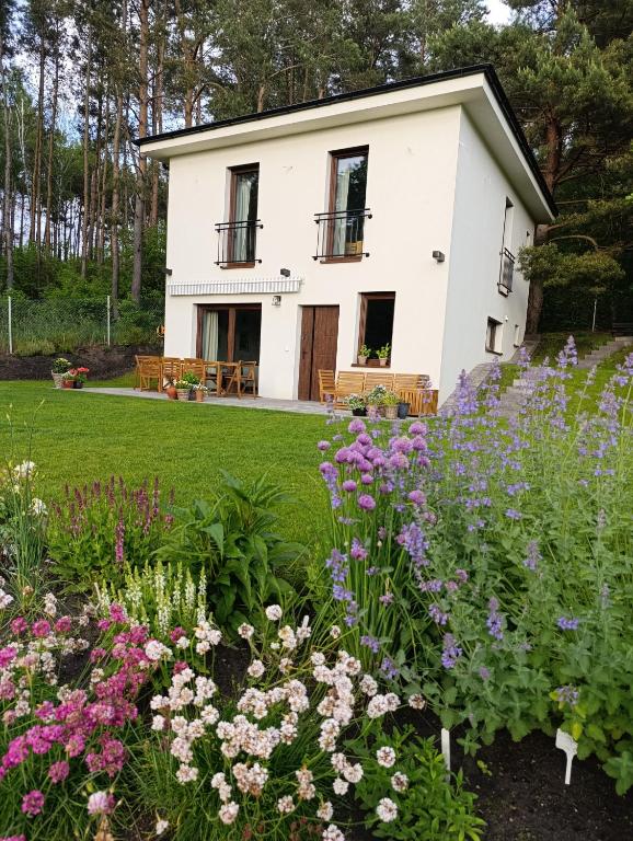 Cicho-Ciszej Dom całoroczny 7-osobowy - B&B Wiktorowo