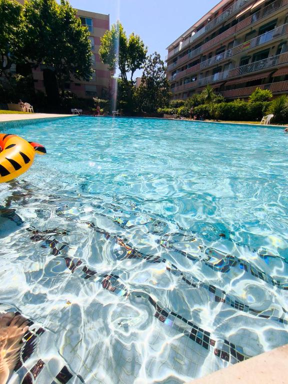 Home2Sea - Piscine, Jardin, studio cabine, 1 canapé lit convertible 2 ADULTES, 1 lit superposé triple 3 ENFANTS ou ADOS - Bed and Breakfast Vallauris