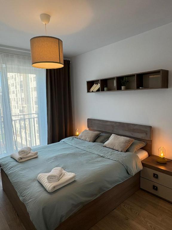 High Hopes Kasper - B&B Braşov