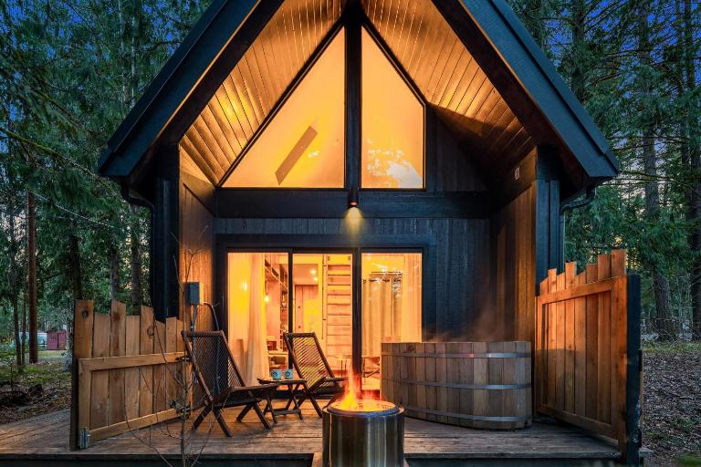 Kodiak Cabin | Hot tub, EV, AC - B&B Packwood