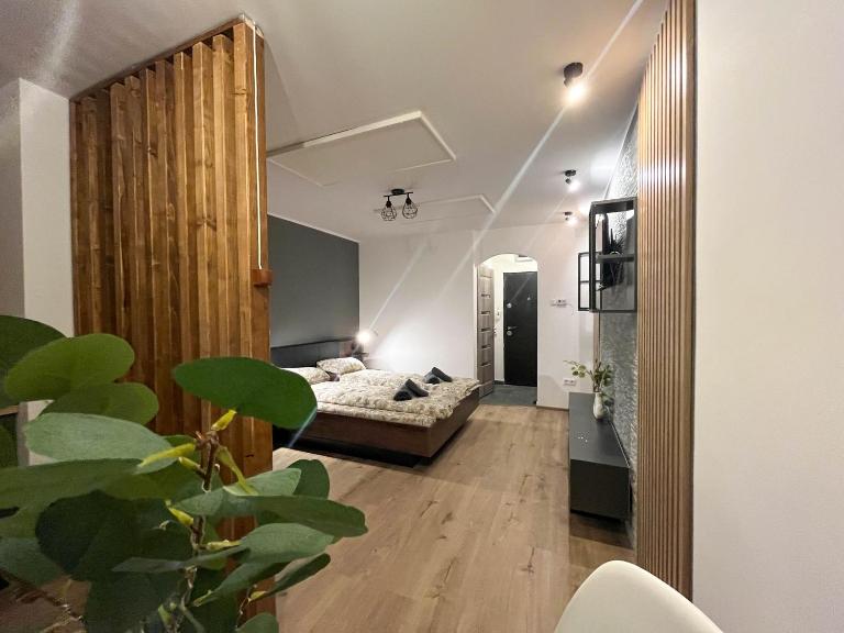 Nest Studio Deluxe - Bed and Breakfast Miercurea-Ciuc