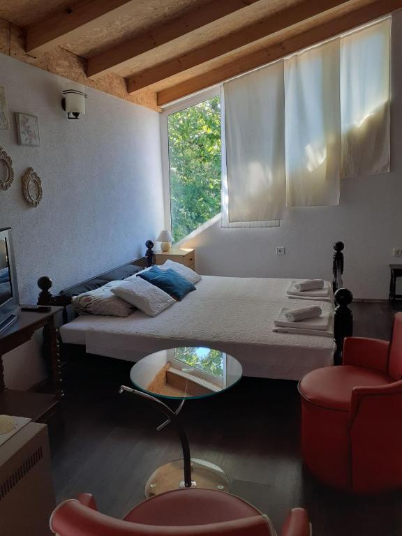 Borov Apartment - B&B Herceg Novi