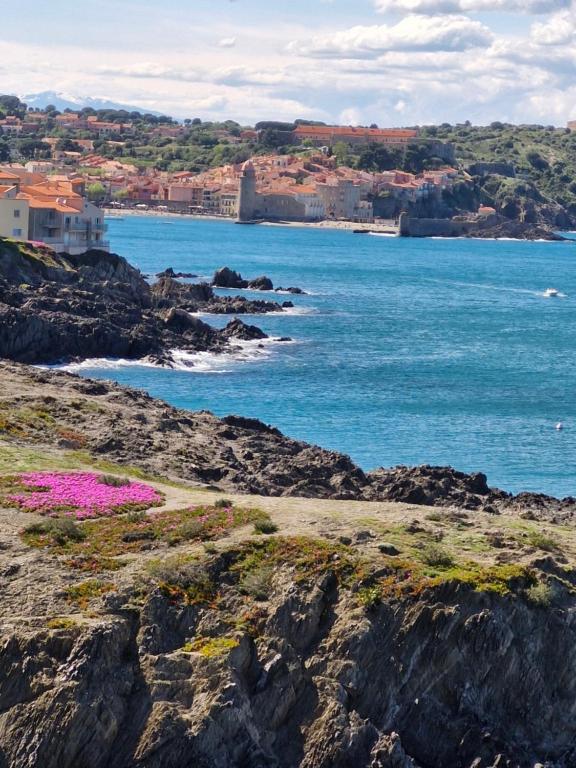 COMME UNE MAISON Clim et Ventilateurs aux pieds du port et des plages et 2km COLLIOURE - B&B Portvendres