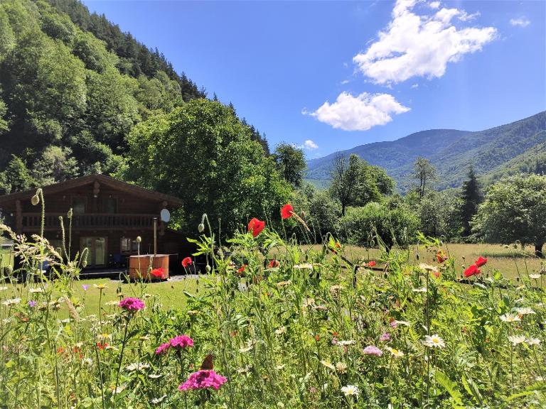 Timber Charm Chalet - Bed and Breakfast Râu Sadului