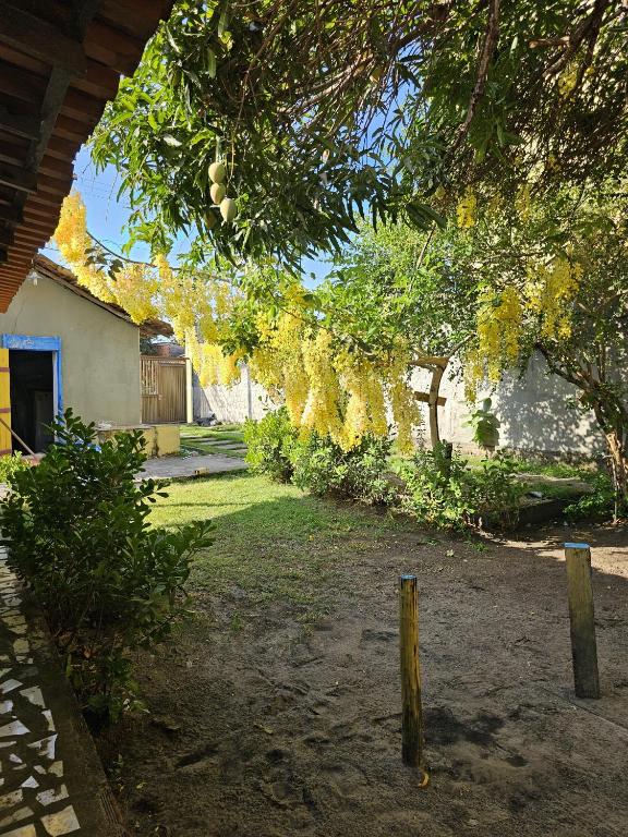 Casa Vovó Barreirinhas Lençóis - B&B Barreirinhas