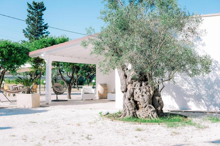 Tenuta Pizzi - B&B San Pietro Vernotico