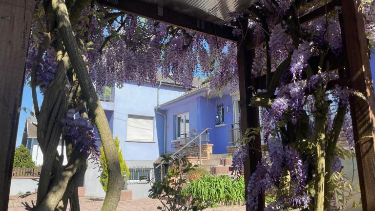 Appartement entier, calme, confortable et spacieux - B&B Gundershoffen