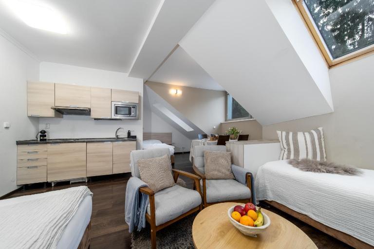 Anenský Apartmán C303 s wellness , O2 TV a stabilní rychlou WIFI, s možností dokoupení bufetových snídaní a s možností dokoupení masáží - Bed and Breakfast Harrachov