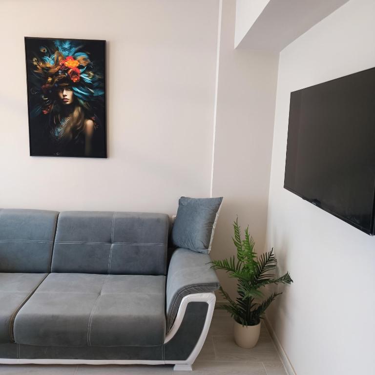 Masaryss luxury apartament 2 - B&B Văleni