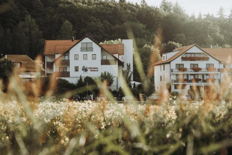 Landhotel Waldeck - B&B Fremdingen