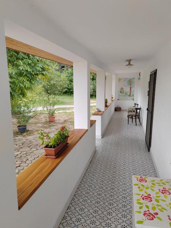 Parittyaház - B&B Homokmégy