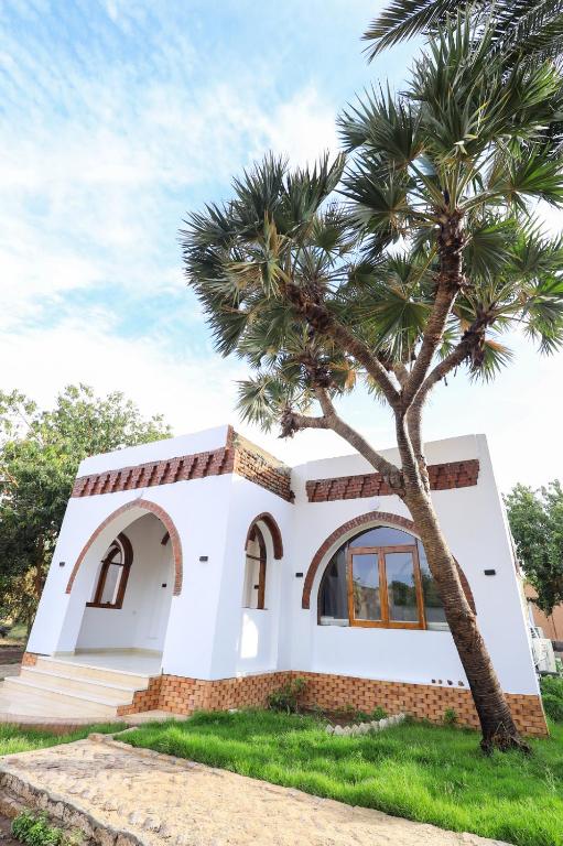 Desert Rose apartments - Chambres d'hôtes Louxor