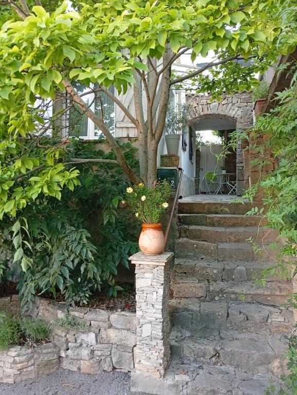 Studio magnolia - B&B Sainte-Anastasie-sur-Issole