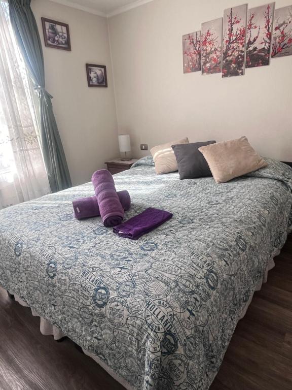 Don Nataniel New Apart I - B&B Santiago