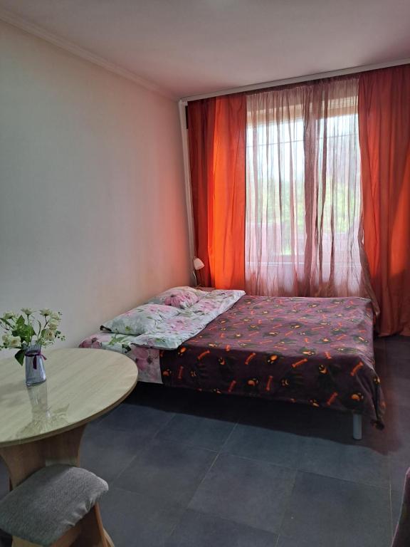 Квартира річка Стир - Bed and Breakfast Loetsk