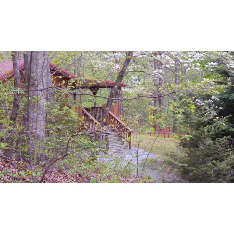 Cabin in the Woods-Peaceful 1BR 20-Acre Rural Retreat-HotTub&WiFi near Asheville - B&B Hendersonville