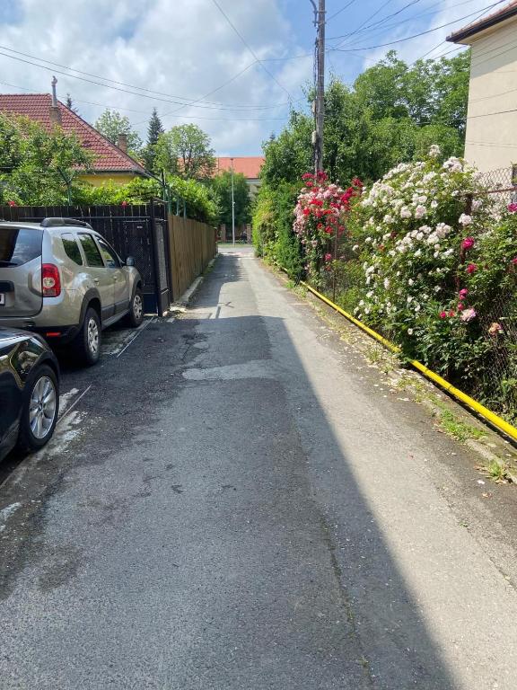 Casa Cătoiu - B&B Sibiu