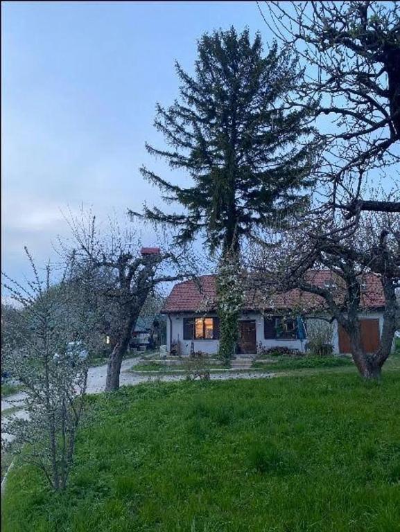 Agroturystyka Podłazy - B&B Piotrów